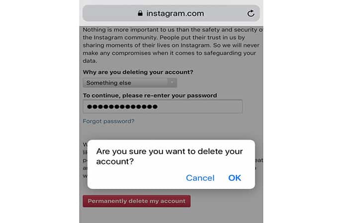 Cómo Eliminar Una Cuenta De Instagram