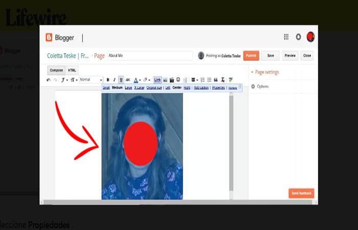  Captura de pantalla que muestra cómo agregar texto alternativo para cargar imágenes en Google