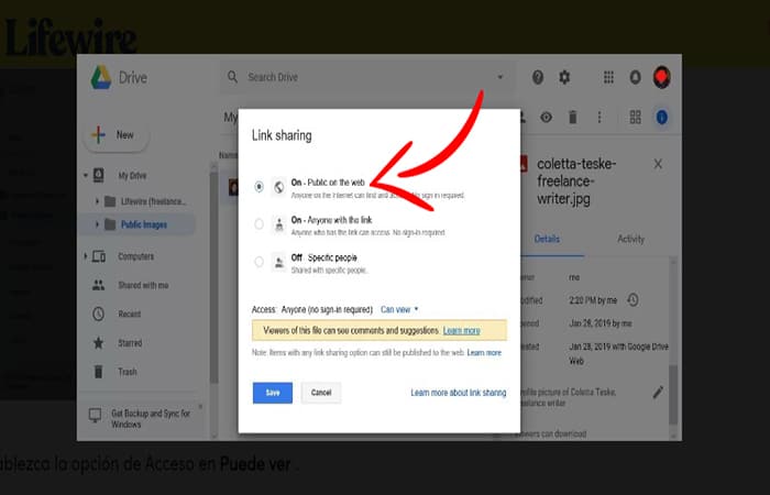  Captura de pantalla que muestra cómo hacer público un archivo en Google Drive