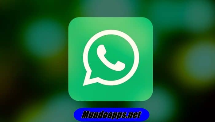 Cómo Recuperar La Cuenta Y Los Mensajes De WhatsApp