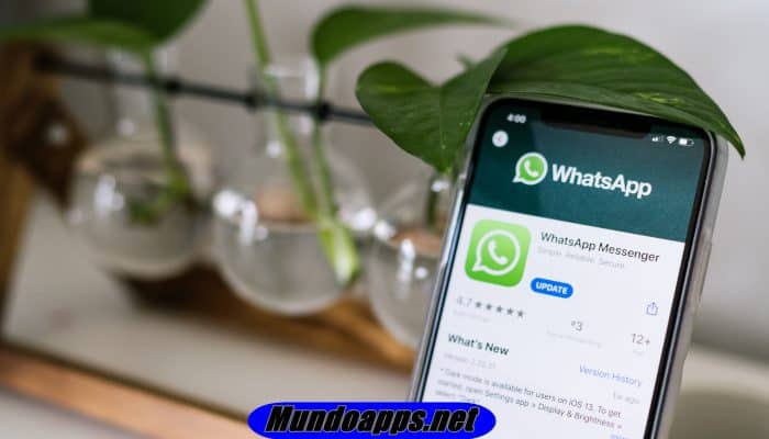 Cómo Transferir Fotos De WhatsApp De Android Al PC