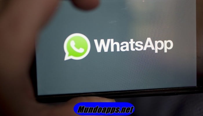 Cómo Actualizar WhatsApp A La Última Versión