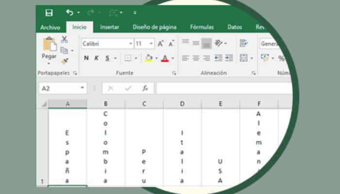 Cómo Escribir En Vertical En Excel