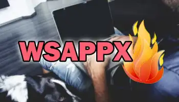Qué es WSAPPX