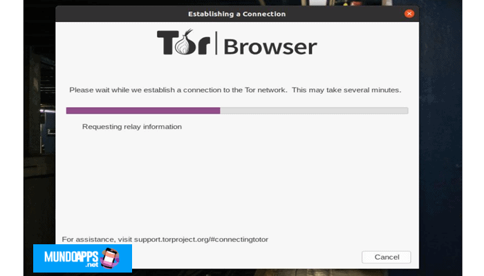 descargar los archivos Tor inmediatamente.