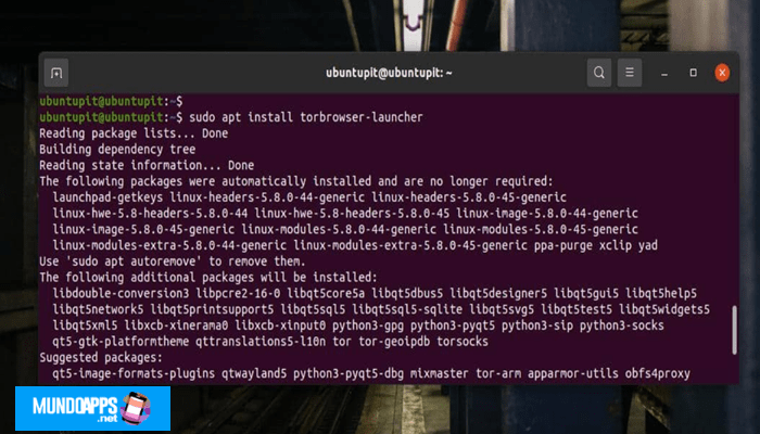Instalar el Navegador Tor a través del Repositorio Linux